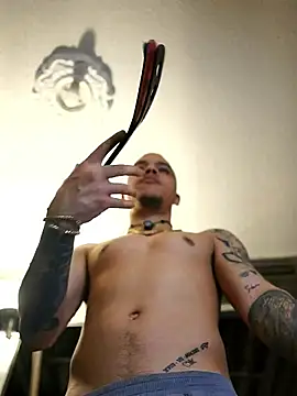AlphaMasterXxx 现场XXX聊天