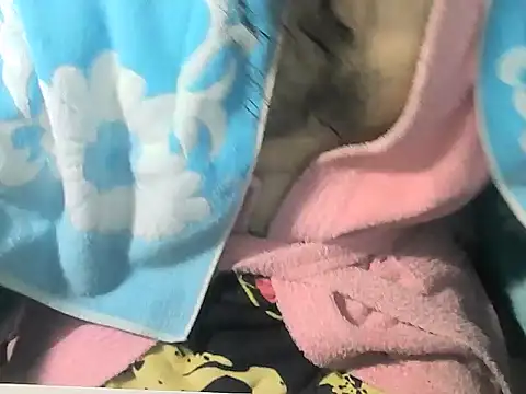 OreCam 现场XXX聊天