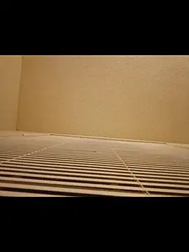 Trapx77301 webkamerás műsora