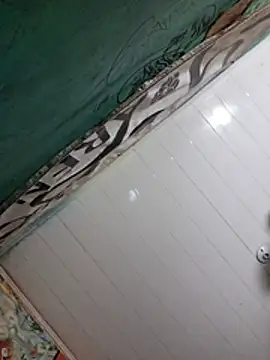 Show de Toycockhot na webcam