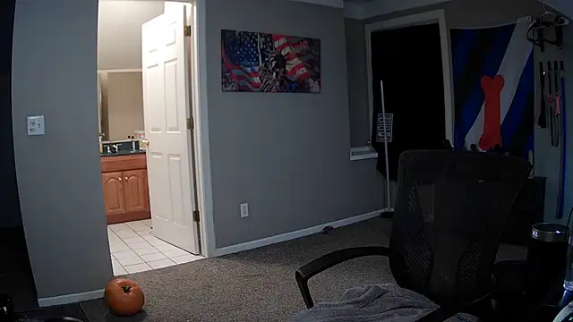 Michigan9000 XXX чат на живо