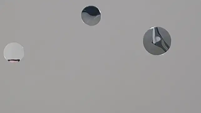 Avgust__: απευθείας συνομιλία ΧΧΧ