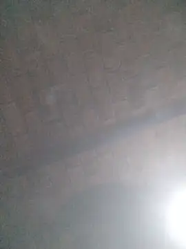 Angepitudo Webcam-Show