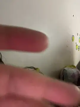 Pawlaa_imiiiiiiiile_97 Obrolan Langsung XXX