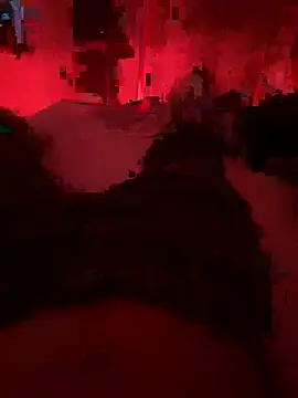 Darck_Dann Webbikameraesitys