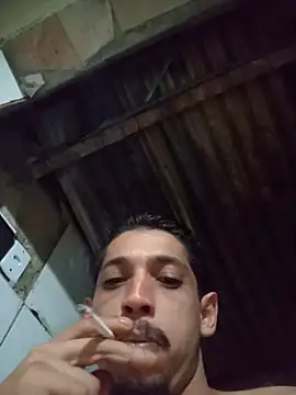 Show de webcam de luiztesaok