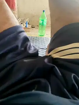 Bengali_BULL1 Show in webcam