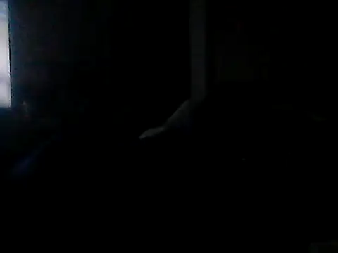 Show Webcam de Silencio26