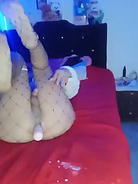 SammyAGT Chat XXX live