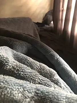 Big_B_Cock_1 现场XXX聊天