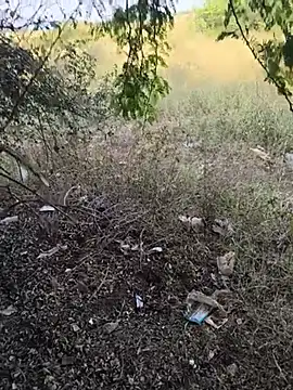 Pertunjukan Kamera Web Pune_guy_cillab