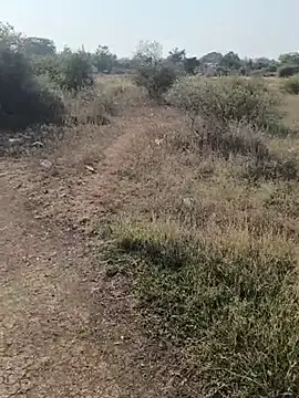 Pune_guy_cillab Chat XXX live