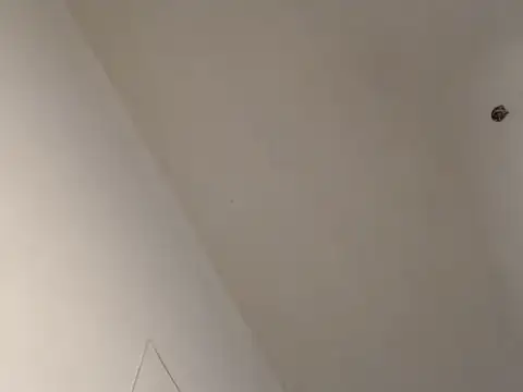 Eboni_hotboobs_ Live XXX-Chat