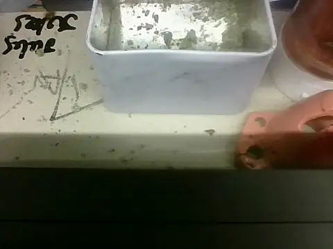kinkycdslutsvのウェブカメラショー