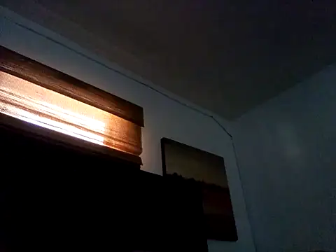 Show Webcam de Blkstylion