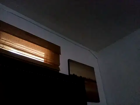 הופעת וובקאם של Blkstylion