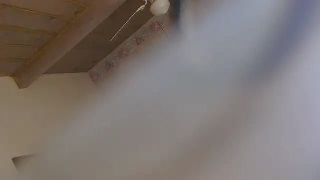 Czat XXX na żywo – luvz1pl8y