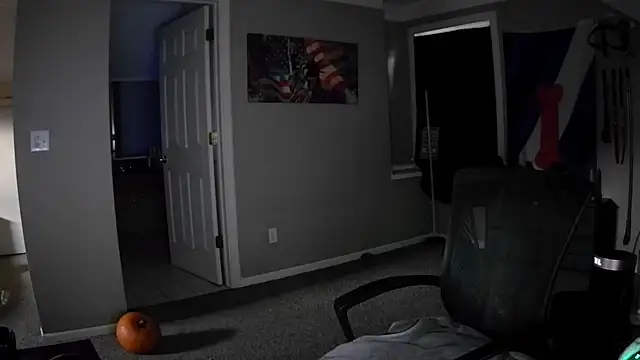 Michigan9000 élő XXX-chatje