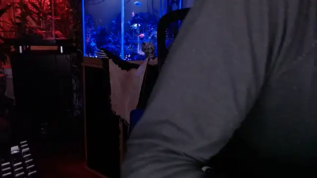 EspanolVato webkamerás műsora