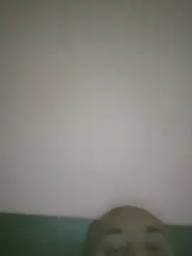 Davidsex66666 – Kamerová šou