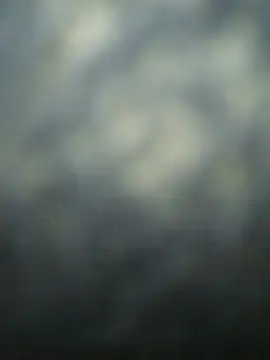 vardh0071 即時 XXX 聊天