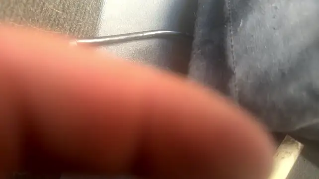 studlyhardwoodd's Live XXX Chat