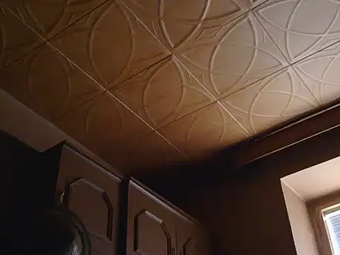 Živý XXX chat 1973teacher