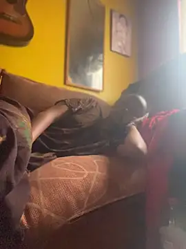 De_maskedcouplen Webbikameraesitys