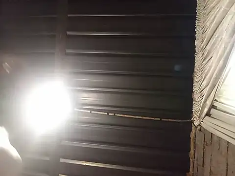 WiseDi's Webcam Show