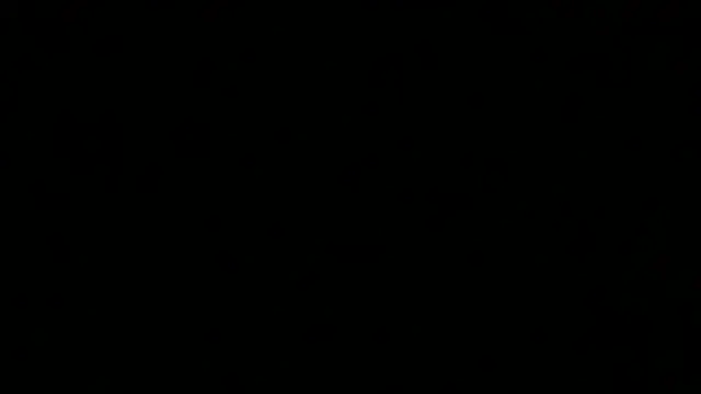 Chat XXX ao vivo de jaxx12369