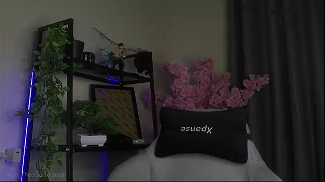Chat XXX Live Nico_Theo