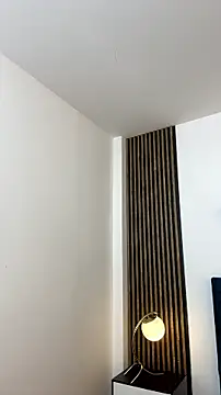 Alexander_Connor Adlı Modelin Canlı XXX Sohbeti