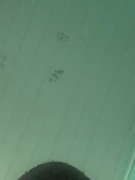Webkamerová show VHgato