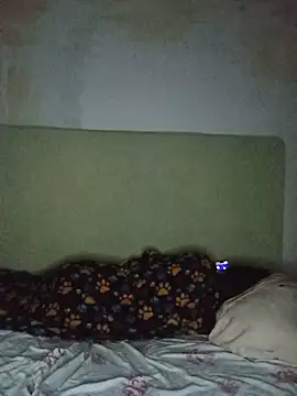 TransBollat XXX чат на живо