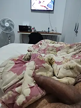 Chat +18 de Willdpo ao vivo