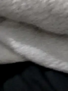 Torinooon Webbikameraesitys