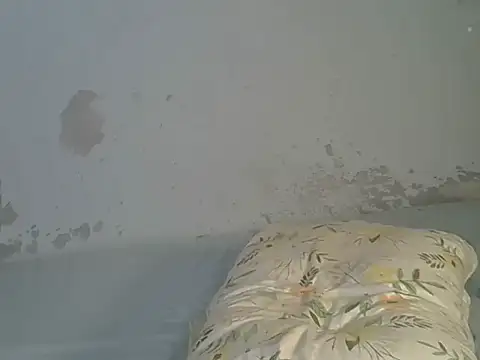 Živý XXX chat Delibooty