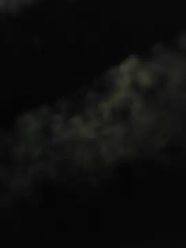 Benjitul0n webcam show