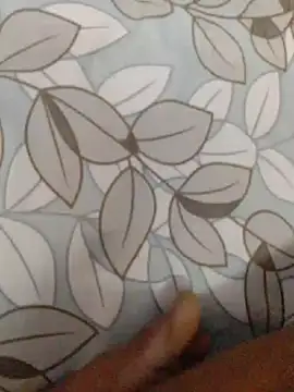 Pertunjukan Kamera Web SRlovebite