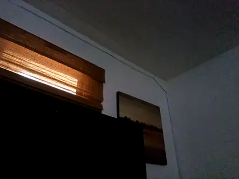 Blkstylion's Webcam Show