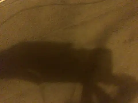 omonaka Adlı Modelin Canlı XXX Sohbeti