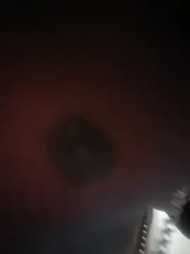 Kyngbigdick's Live XXX Chat