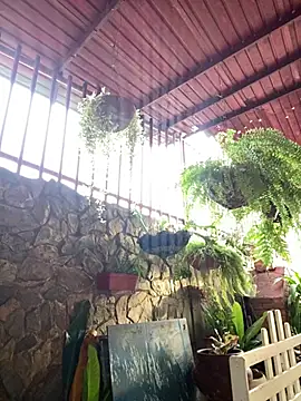 Alejandrososas Webcam show