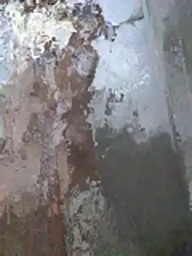 Misaelcastillocal Webcamshow