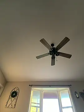 Bradgetshard2 webcam show