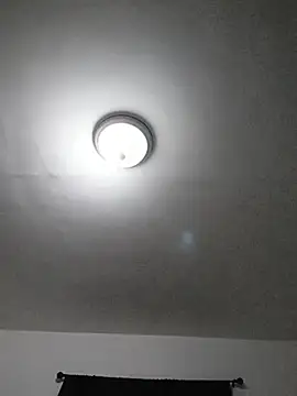 Chat XXX en directo de Torresmor