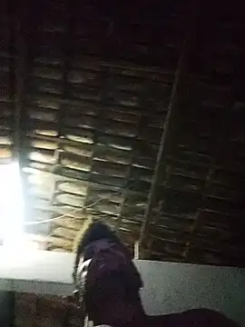 Chat +18 de tarra122 ao vivo