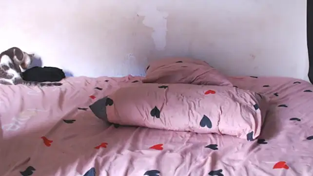 Asia_Alejandra333のライブXXXチャット