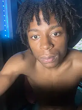 Show webcam de DShowinu