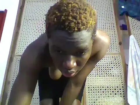 Goldy_petite élő XXX-chatje
